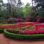 Bayou_Bend_AT_2012_0002-2
