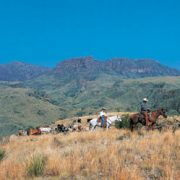 Houston City Life - Cibolo Creek Ranch