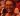 gordon_crop