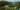 trees-1