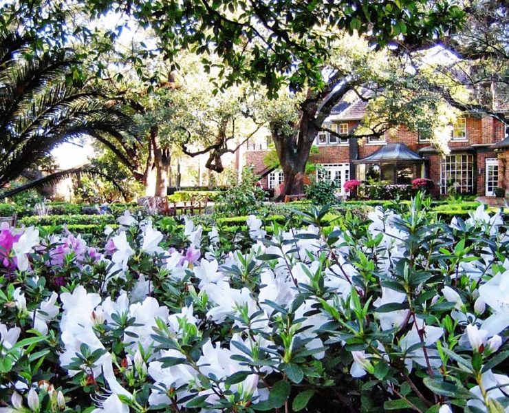 Houston-Hospice-Gardens-Azaleas-1020
