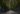 2020.08-Discovery-Green