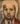 1-My-Imaginary-Mentor-Alexej-Jawlensky-2020Mixed-Med-on-canvas-6ftx5ft