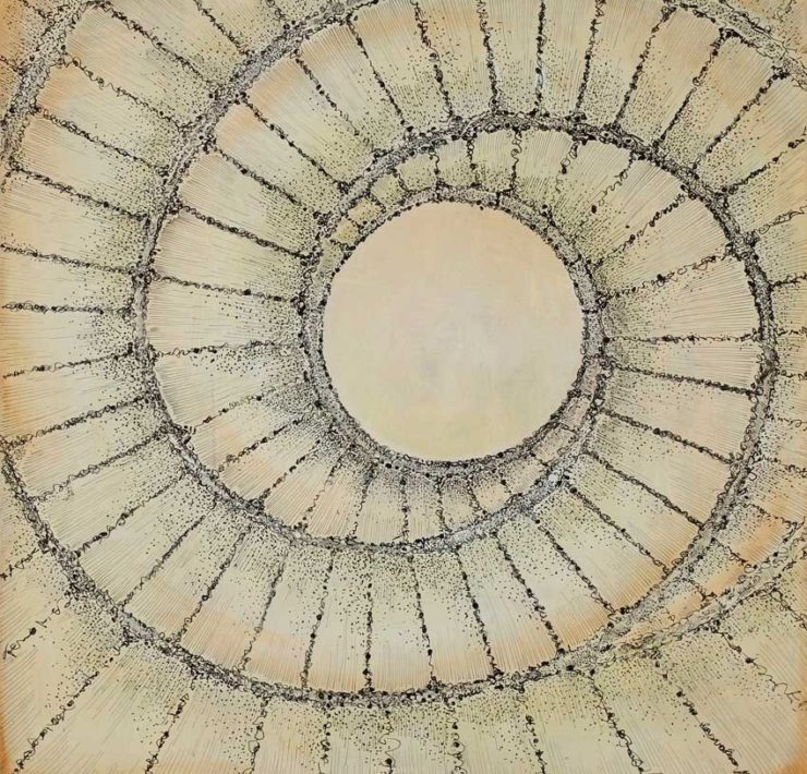 10-Penny-Cerling-Bur-Clover-Spiral-Structure-13-Bur-Clover-series-2017-Pen-ink-and-oil-on-wood-16-x-16-in.
