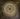 7-Penny-Cerling-_Destruction-Lignin-Termites_-Lignin-Plant-Evolution-series-2020-Pen-ink-and-oil-on-wood-24-x-24-in.