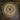 7-Penny-Cerling-_Destruction-Lignin-Termites_-Lignin-Plant-Evolution-series-2020-Pen-ink-and-oil-on-wood-24-x-24-in.