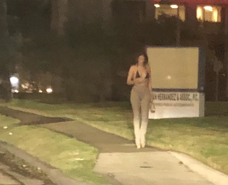 Houston City Life
