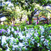 Houston Real Estate News