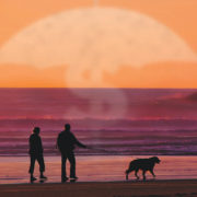 2021.02-Financial-header