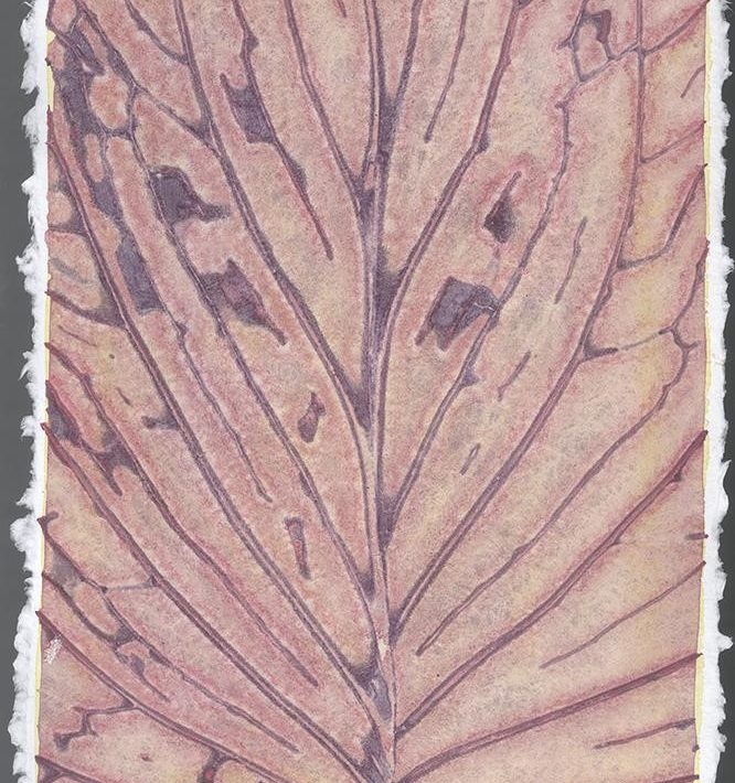 Liz-Ward-Specimen-Days-12-2020-watercolor-on-paper-12.25-x-9-inches