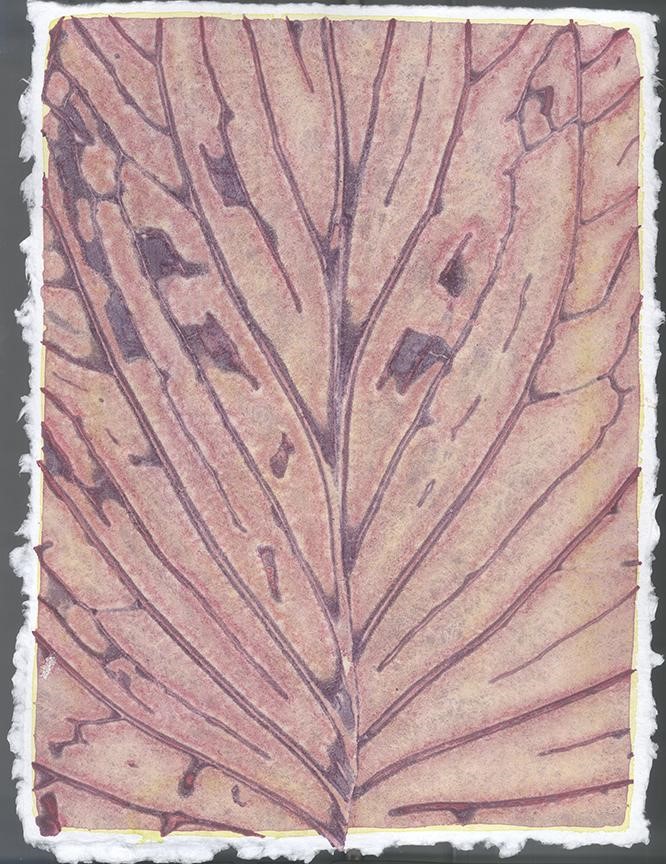 Liz-Ward-Specimen-Days-12-2020-watercolor-on-paper-12.25-x-9-inches