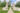 River-Oaks-Stock-1200px