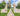 River-Oaks-Stock-1200px