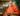 1-Chef-Kaiser-Lashkari-Himalaya-Restaurant-for-Intown-mag-6-17-21
