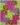 5-Christopher-Cascio-“Untitled”-Pinwheel-Aerosol-acrylic-on-canvas-2020-2021-20.5-x-15.5-inches
