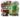 9-Shane-Tolbert-Untitled-2021-acrylic-on-canvas-50-x-60-inches