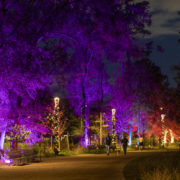 Holiday-Lights-in-Clay-Family-Eastern-Glades-presented-by-Green-Mountain-Energy-1_-Image-Courtesy-of-MPC
