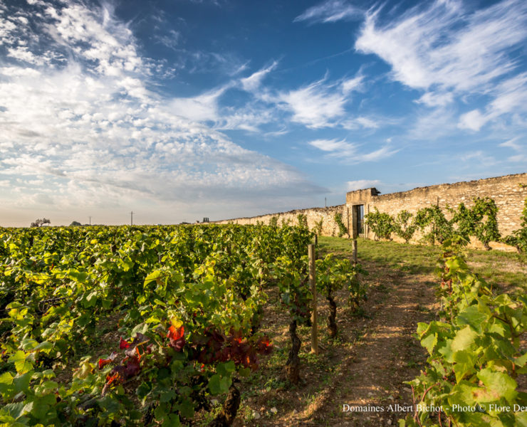 1-Domaine-du-Pavillon-Albert-Bichot.-Image-by-Flore-Deronzier
