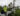 2022.02-Centerpoint