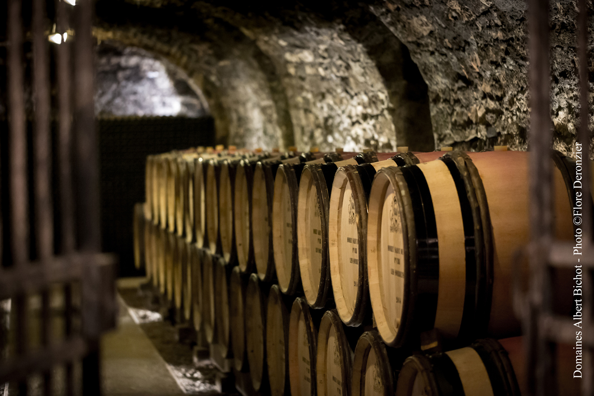 3-Domaine-du-Clos-Frantin-Albert-Bichot.-Image-by-Flore-Deronzier