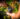 4-Vendanges-Albert-Bichot.-Image-by-Flore-Deronzier