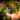 4-Vendanges-Albert-Bichot.-Image-by-Flore-Deronzier