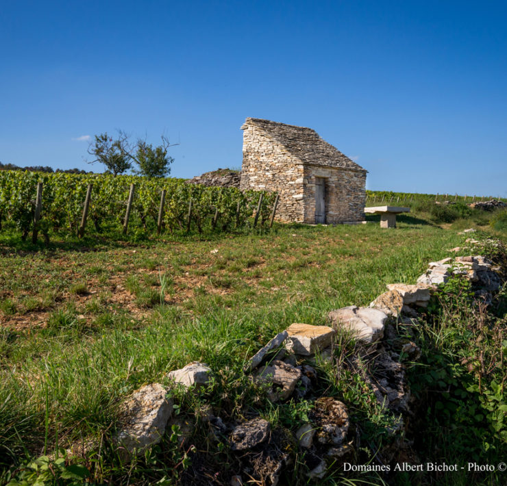 5-Cabotte-Clos-des-Mouches-Albert-Bichot.-Image-by-Flore-Deronzier