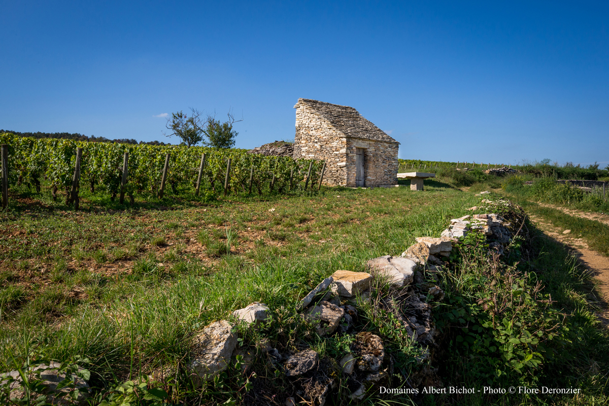 5-Cabotte-Clos-des-Mouches-Albert-Bichot.-Image-by-Flore-Deronzier