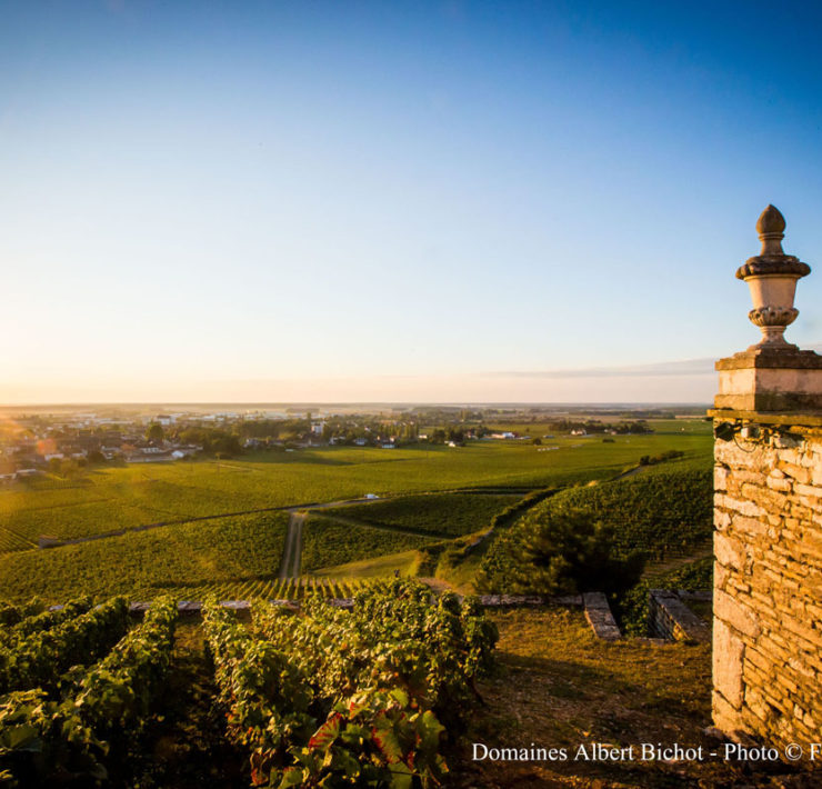 6-Chateau-Gris-Albert-Bichot.-Image-by-Flore-Deronzier