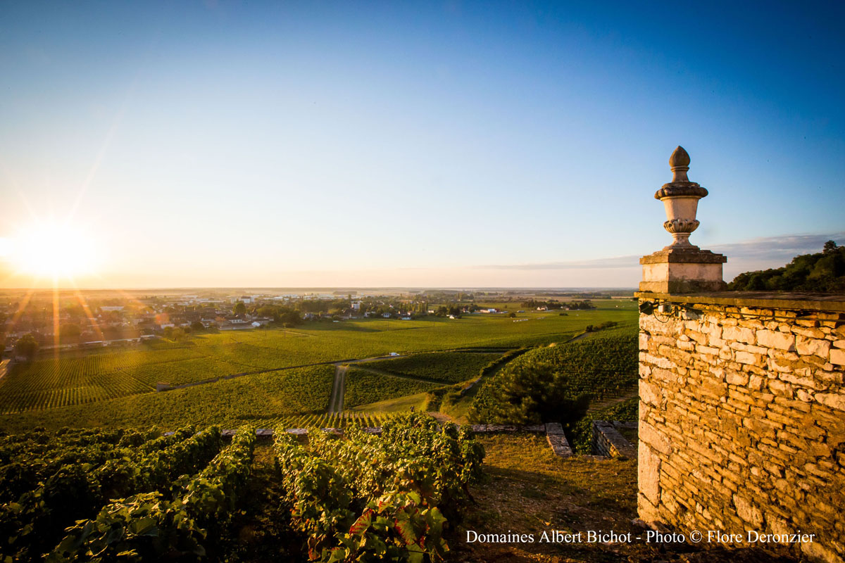 6-Chateau-Gris-Albert-Bichot.-Image-by-Flore-Deronzier