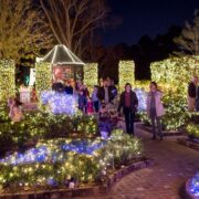 christmas-village-bayou-bend.10834369853388267640