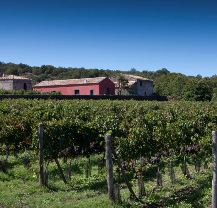Reliving Sicily Through A Bottle of Planeta La Segreta Il Rosso Sicilia