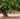 11-Plenata-vineyards-at-Noto