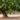 11-Plenata-vineyards-at-Noto