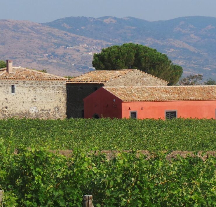 14-Planeta-winery-near-Etna