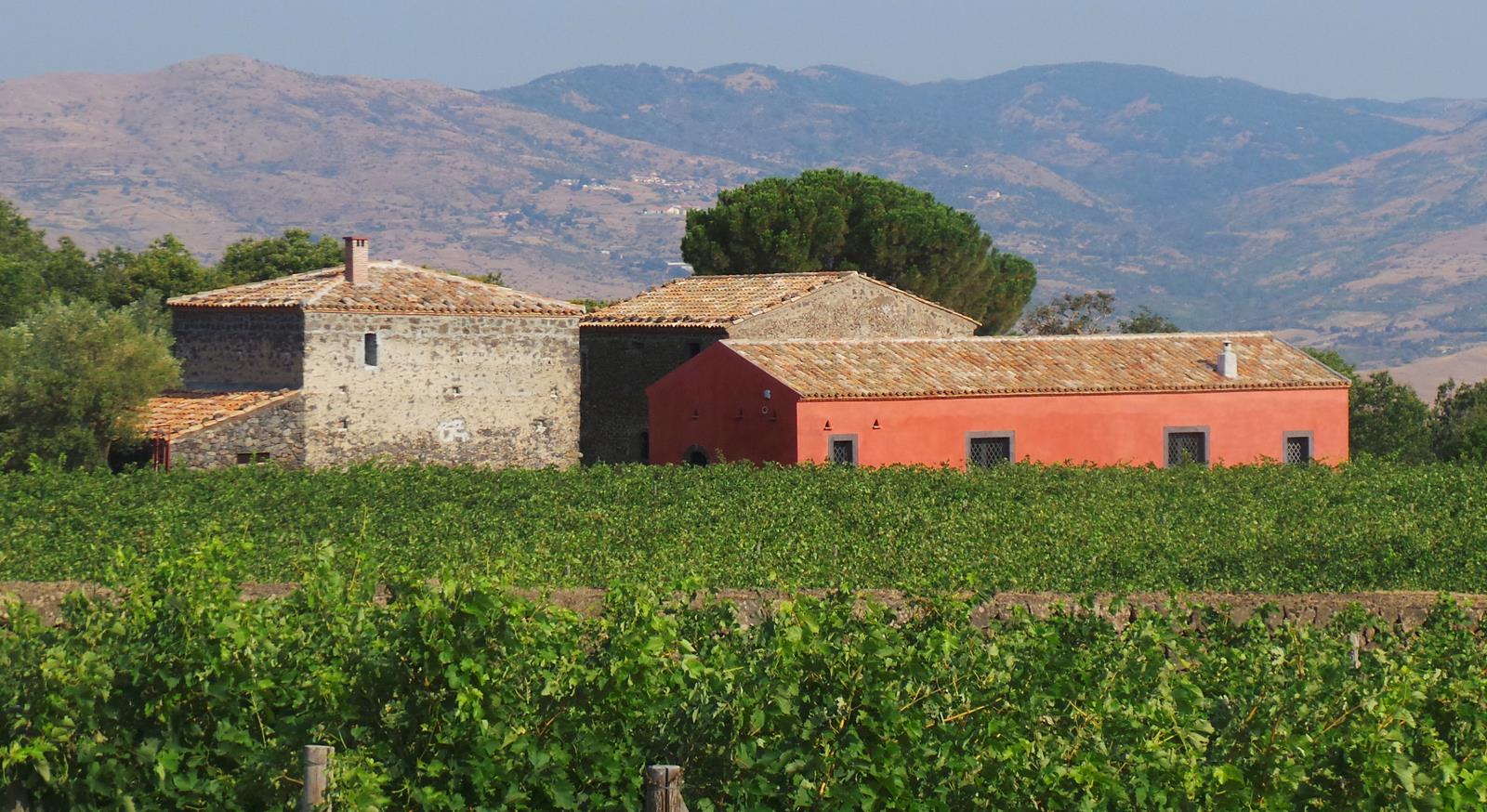 14-Planeta-winery-near-Etna
