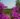 3-Planeta-vineyards-southern-coast