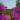 3-Planeta-vineyards-southern-coast