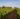 5-Planeta-vineyards-at-Vittoria-with-red-soil