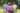 Carlos-Duncan-Karen-Murphy-Leslie-Duncan-Titus-Harris