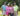 Carlos-Duncan-Karen-Murphy-Leslie-Duncan-Titus-Harris-HEADER
