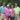 Carlos-Duncan-Karen-Murphy-Leslie-Duncan-Titus-Harris-HEADER