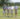 Randall-Risher-Jr-Randall-Risher-III-Gordon-Carver-Randy-Lozmack