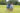 Susan-Solcher-Kevin-Jones-Jan-Bres-Poppi-Massey