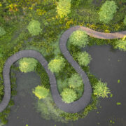 Donor-Boardwalk-Aerial