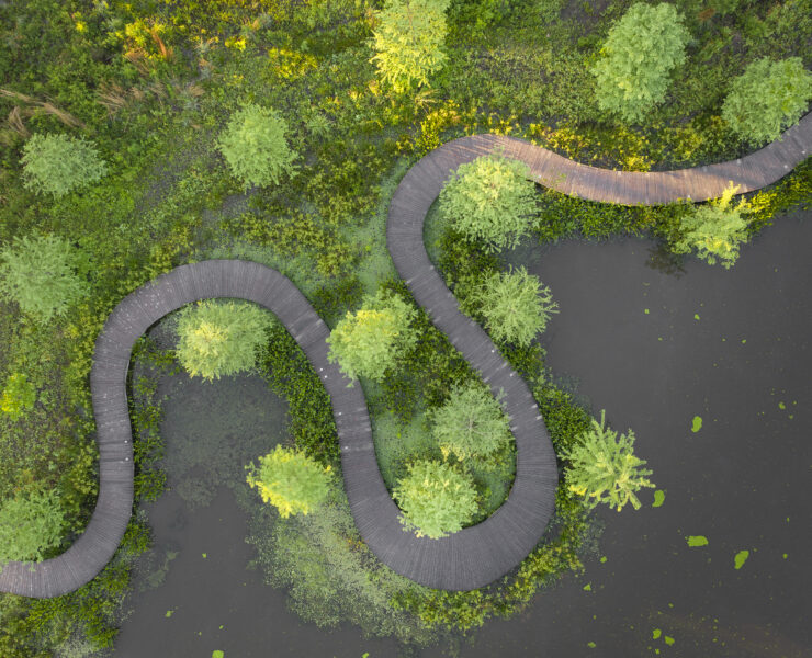 Donor-Boardwalk-Aerial