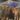 Rodeo-Pic-1024x768-1