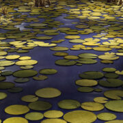 sprueth_magers_Thomas_Demand_Pond_2020_23023