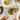 Brasserie19-header