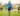 dreamstime_l_201769149